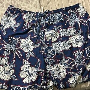 Men’s Big Dogs 2XL Swim Trunks